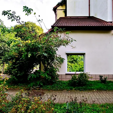 Rent40 Lokietka Siedemset Metrow Do Plazy Karlikowo Blonia